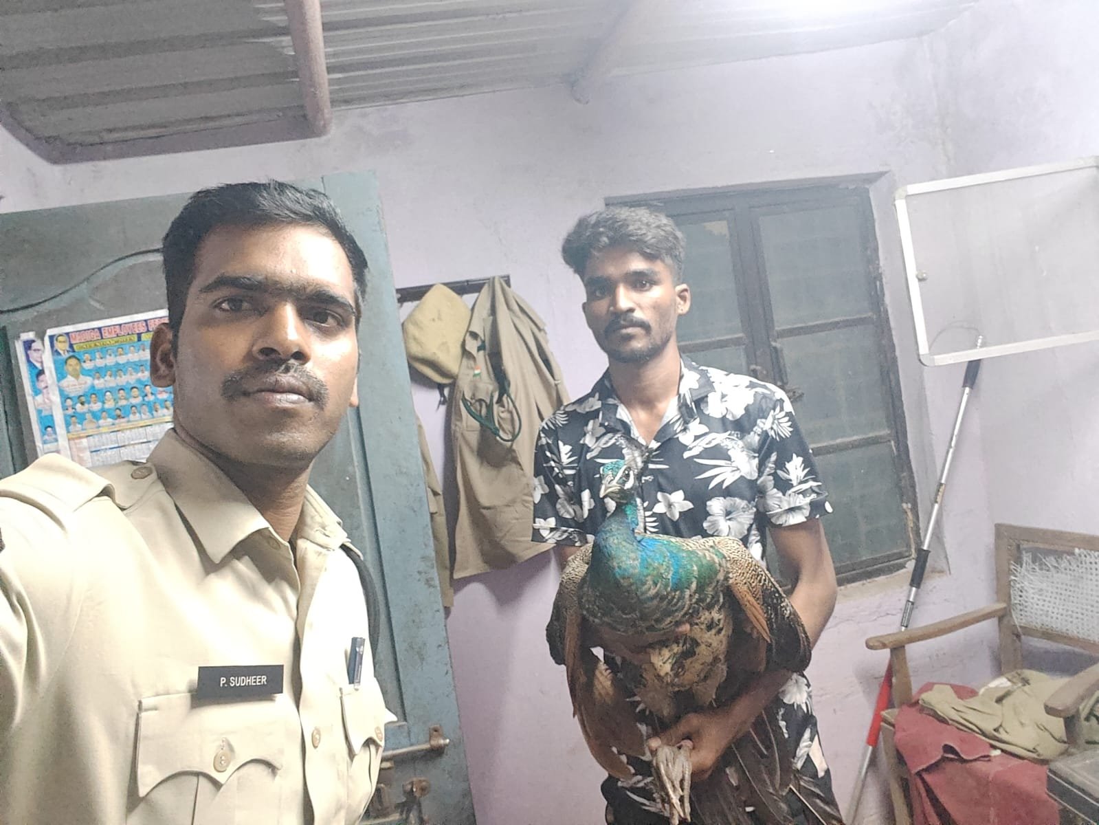 జాతీయ పక్షి అయిన నెమలి  పోలీస్ స్టేషన్ లో అప్పగించిన పండ్ల వ్యాపారి 